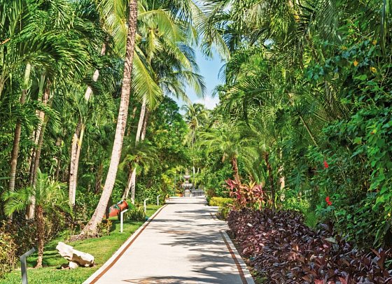 Occidental Cozumel