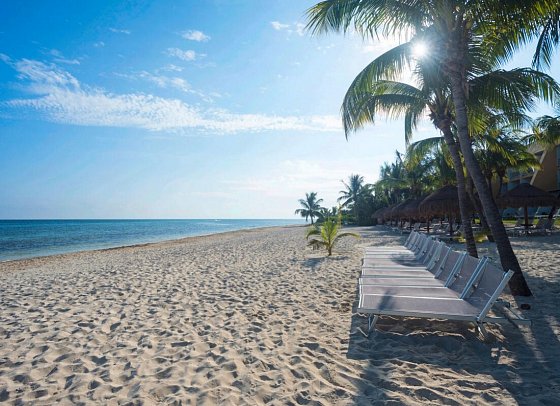 ZEL Cozumel
