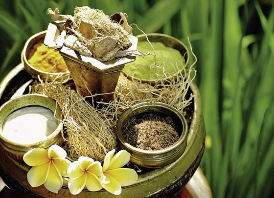 Nationalparks in Westbali und Ostjava (Gruppenreise)