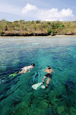 Nationalparks in Westbali und Ostjava (Gruppenreise) - Snorkeling