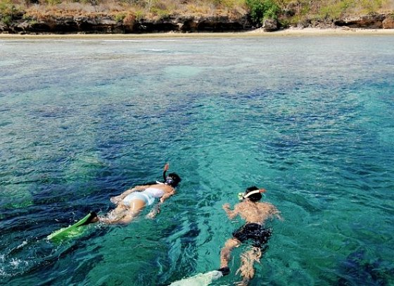 Nationalparks in Westbali und Ostjava (Gruppenreise) - Snorkeling