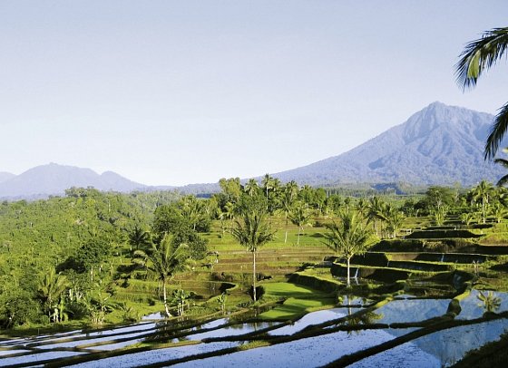 Faszination Bali & einzigartiges Ostjava (Privatreise)