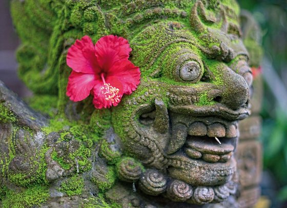 Bali zum Entschleunigen