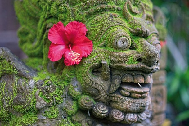 Bali zum Entschleunigen