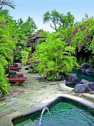 Poppies Bali