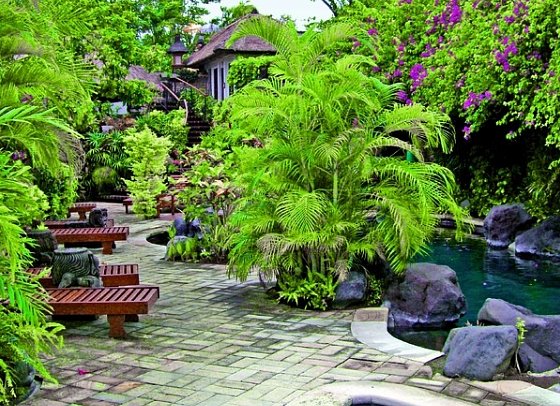 Poppies Bali