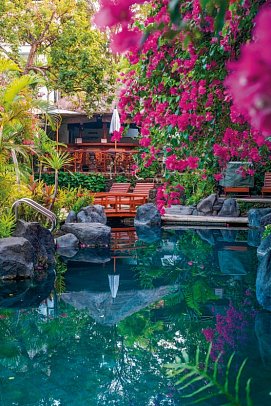 Poppies Bali