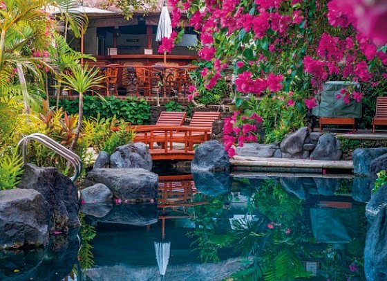 Poppies Bali