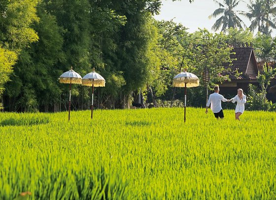 Alaya Resort Ubud