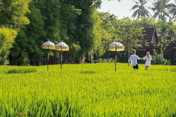 Alaya Resort Ubud