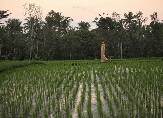 Alaya Resort Ubud