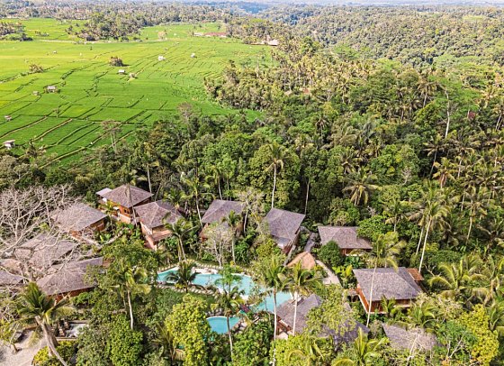 Kappa Senses Ubud