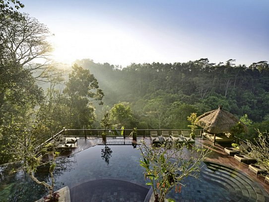 Nandini Jungle by Hanging Gardens