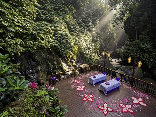 Nandini Jungle by Hanging Gardens