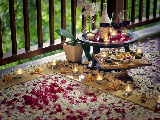 Nandini Jungle by Hanging Gardens