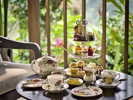 Nandini Jungle by Hanging Gardens