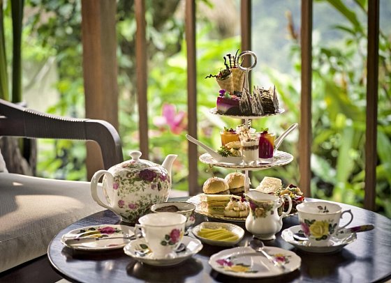 Nandini Jungle by Hanging Gardens