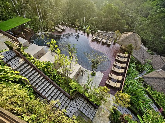 Nandini Jungle by Hanging Gardens