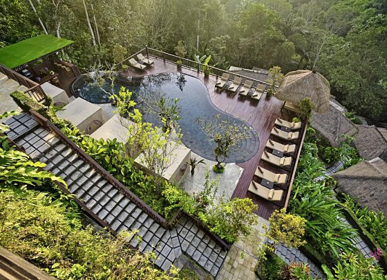 Nandini Jungle by Hanging Gardens