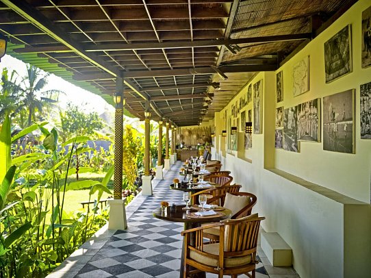 Nandini Jungle by Hanging Gardens