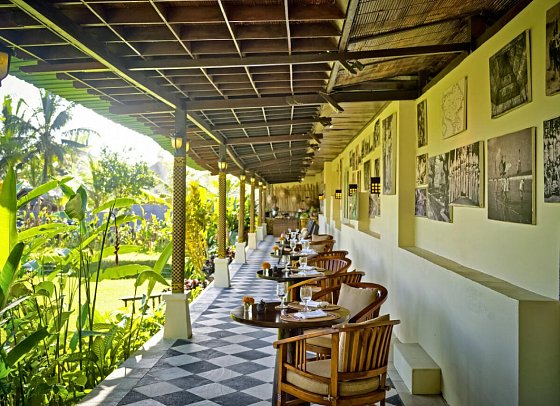 Nandini Jungle by Hanging Gardens
