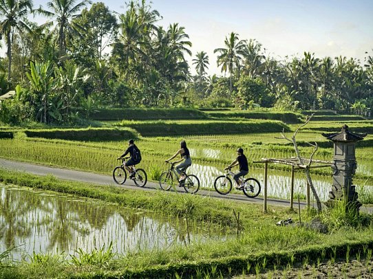 Nandini Jungle by Hanging Gardens