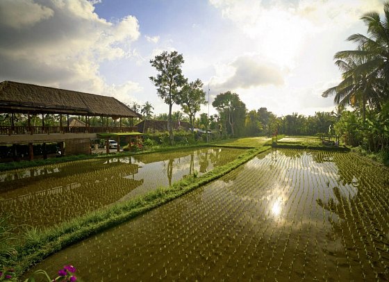 Nandini Jungle by Hanging Gardens
