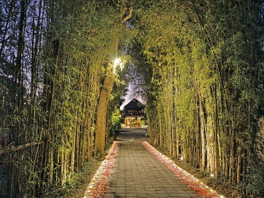 Nandini Jungle by Hanging Gardens