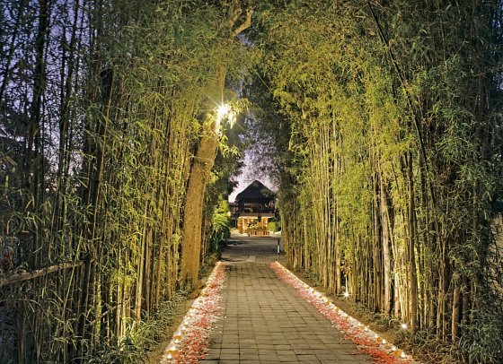 Nandini Jungle by Hanging Gardens