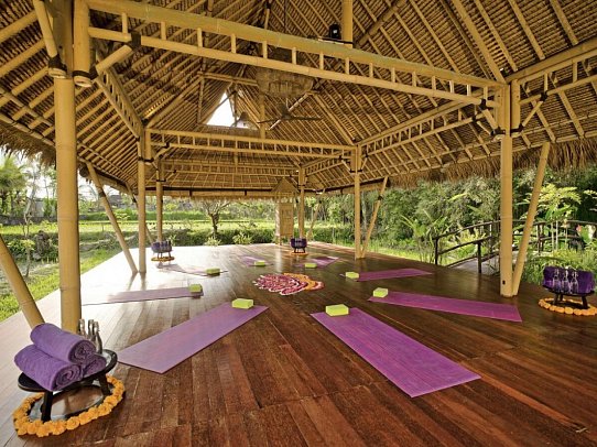 Nandini Jungle by Hanging Gardens