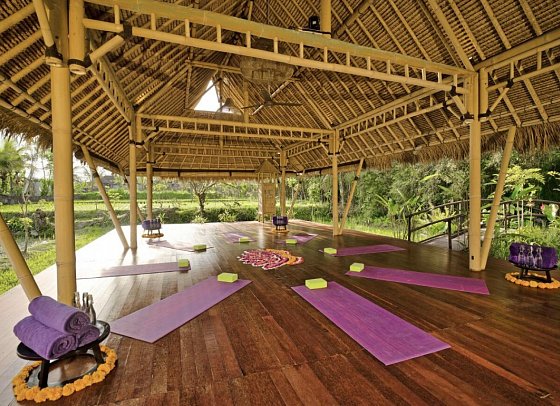 Nandini Jungle by Hanging Gardens
