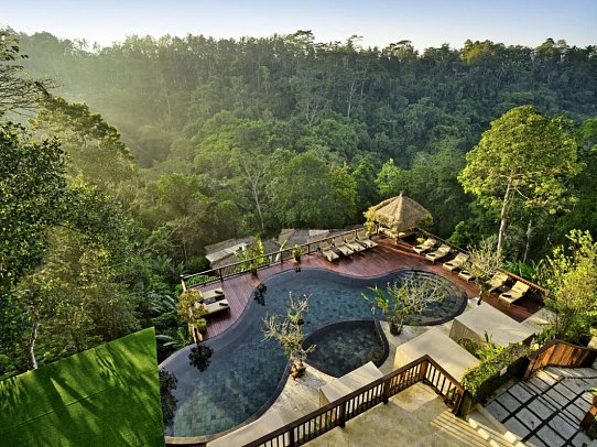 Nandini Jungle by Hanging Gardens