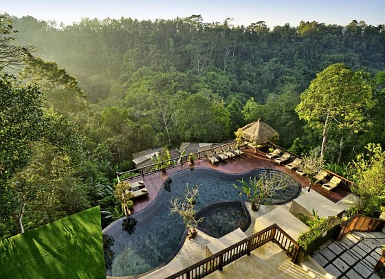 Nandini Jungle by Hanging Gardens