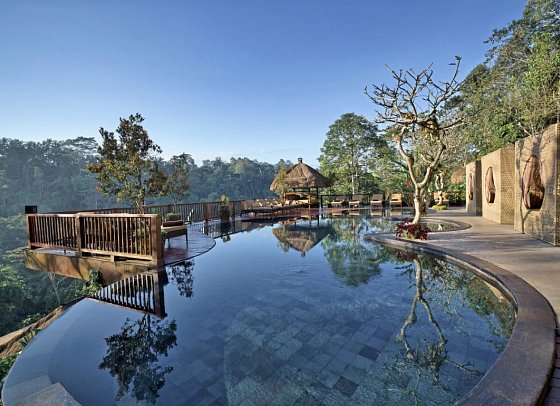 Nandini Jungle by Hanging Gardens