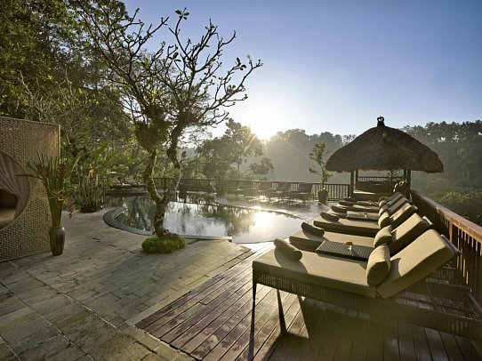 Nandini Jungle by Hanging Gardens