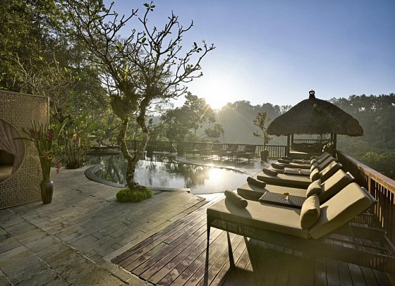 Nandini Jungle by Hanging Gardens