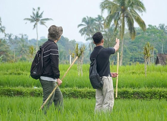 Cicada Resort Bali Ubud, Autograph Collection