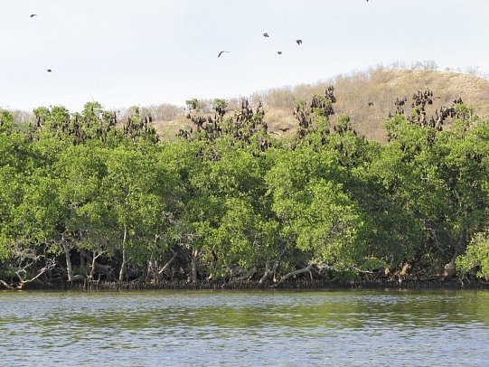 Komodo & Flores zum Kennenlernen (Gruppenreise)