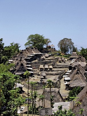 Komodo & Flores zum Kennenlernen (Gruppenreise)