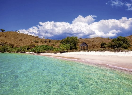 Komodo & Flores zum Kennenlernen (Gruppenreise)