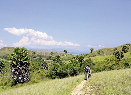 Komodo & Flores zum Kennenlernen (Privatreise)