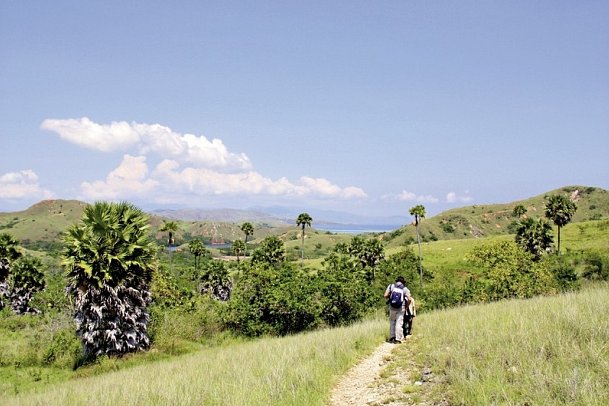 Komodo & Flores zum Kennenlernen (Privatreise)