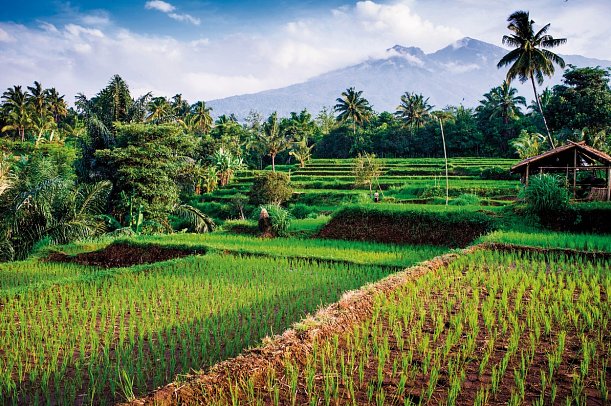 Indonesische Inselträume - Mount Rinjani, Senaru