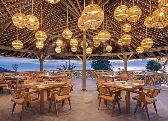 Seven Dreams A Pramana Experience