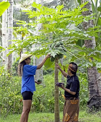 Kelapa Retreat & Spa