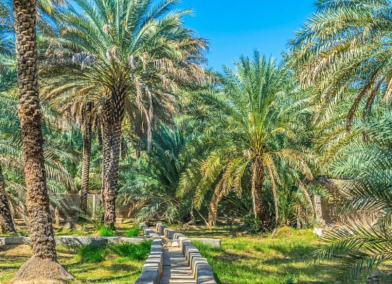 Dubai & Oman: Vom Puls der Metropole zur Seele des Orients - Oase in al Ain