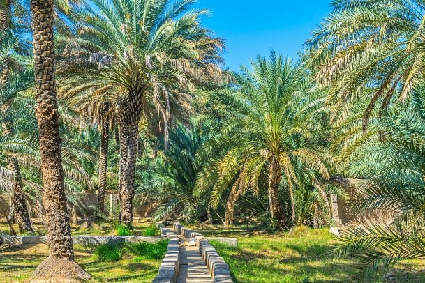 Dubai & Oman: Vom Puls der Metropole zur Seele des Orients - Oase in al Ain