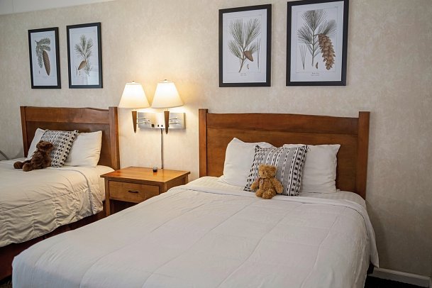 Yosemite View Lodge - Wohnbeispiel Classic Mountain View 2 Queen (Zimmercodierungen UG2 & UG3)