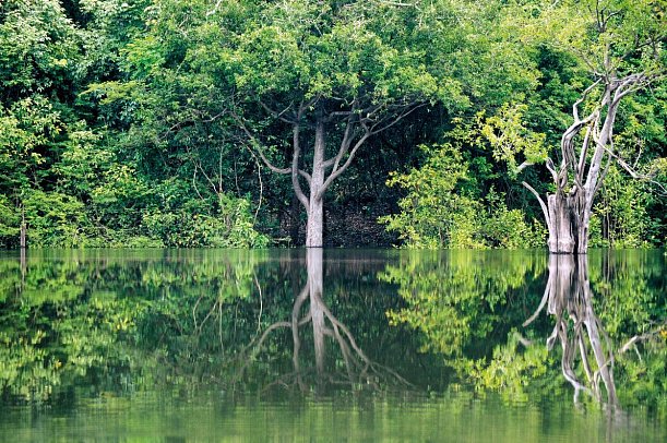 Samba, Goldrausch & Amazonas - Amazonas