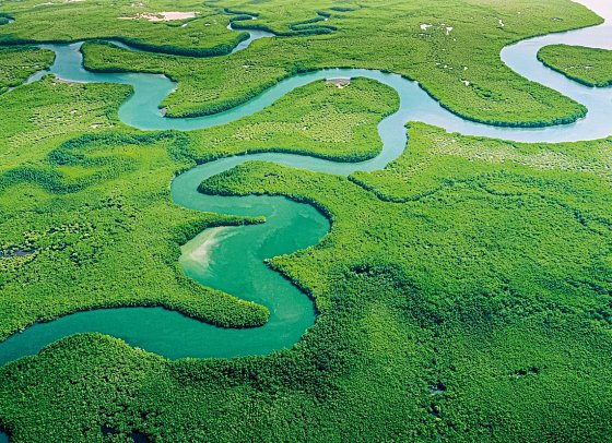 Samba, Goldrausch & Amazonas